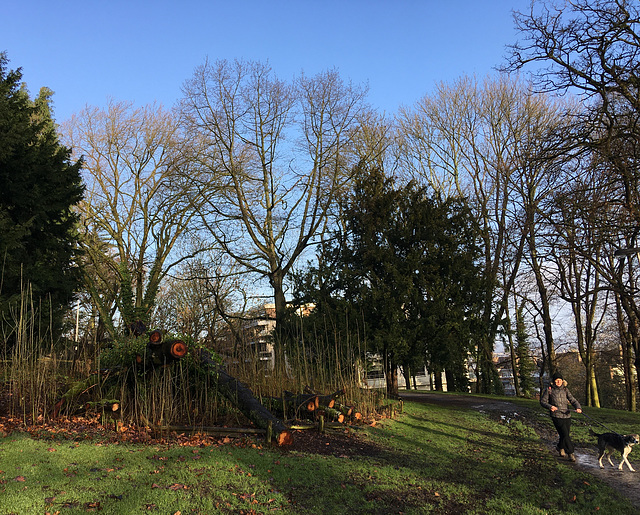 Parc de Cointe à Liège