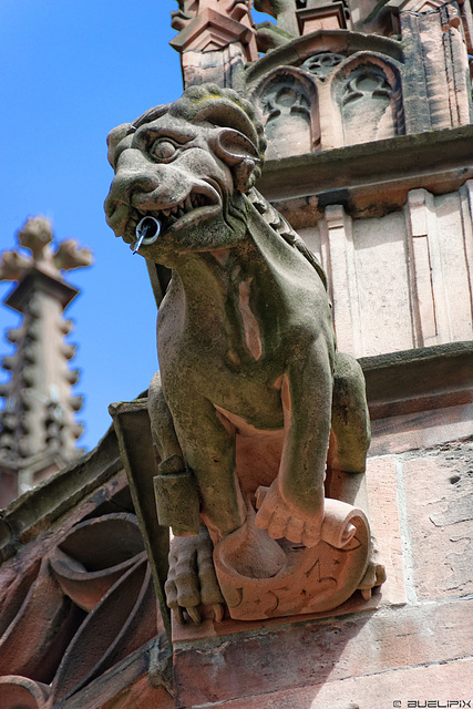 Wasserspeier am Freiburger Münster (© Buelipix)