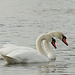 synchronous swanning ;-)