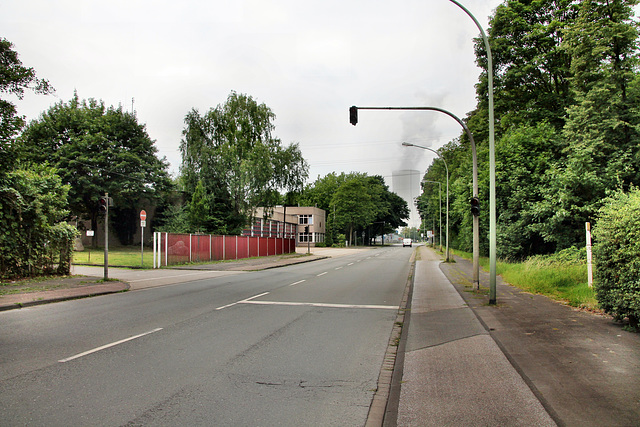 Dr.-Wilhelm-Roelen-Straße (Duisburg-Walsum) / 16.07.2017