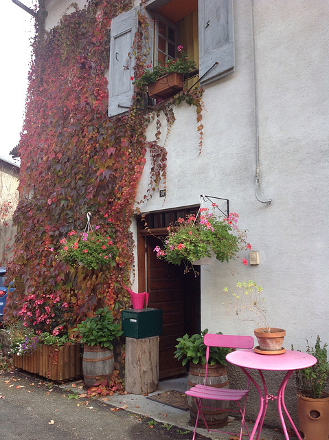 L'automne gagne les façades .