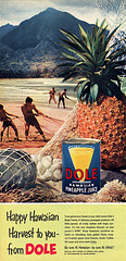 Dole Pineapple Juice Ad, 1952