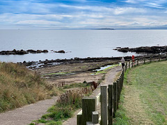 LR-IMG 0431