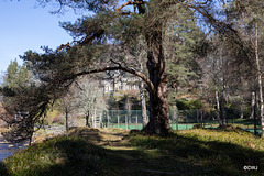 The tennis courts at Glenernery Lodge with the house beyond