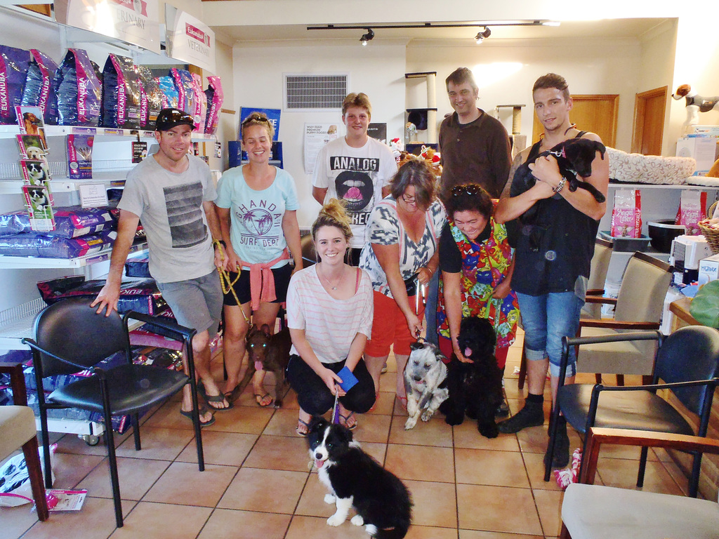 Elvis at his puppy school graduation