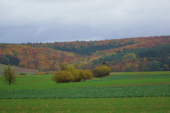 Trüber Herbst