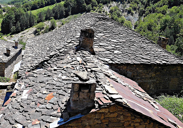 Roofs at Dardhë