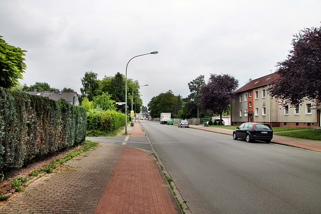 Dr.-Wilhelm-Roelen-Straße (Duisburg-Walsum) / 16.07.2017