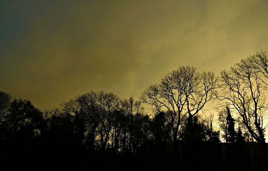 ciel du matin