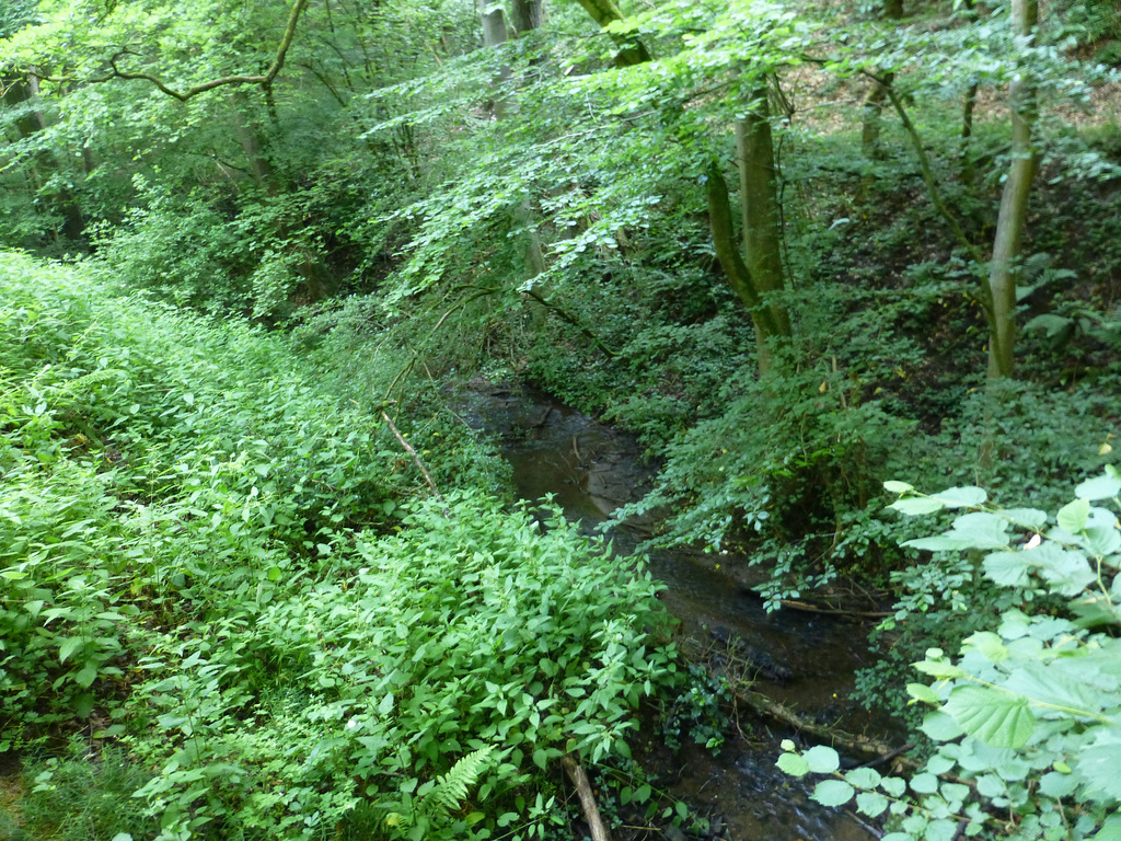 DE - Andernach - Auf dem Höhlen- und Schluchtensteig