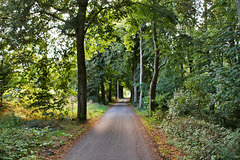 Hammer Weg (Dorsten) / 19.07.2020