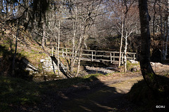 Rickety bridges are a feature of the Dorback