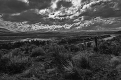 The Wetlands and Canals of Malheur