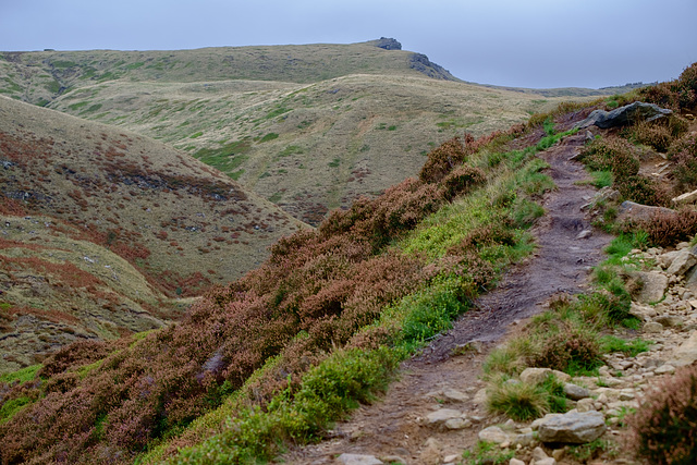 Going up the hill