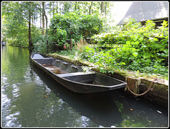 242/365 - Im Spreewald