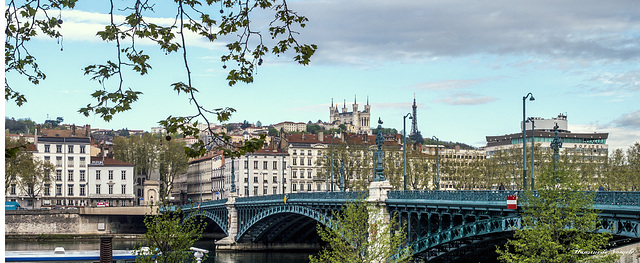 Universitäts Brücke