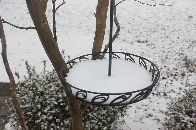 A small bird feeder just beyond carport, at our home,   Metter, Georgia,  USA     1-2-2018