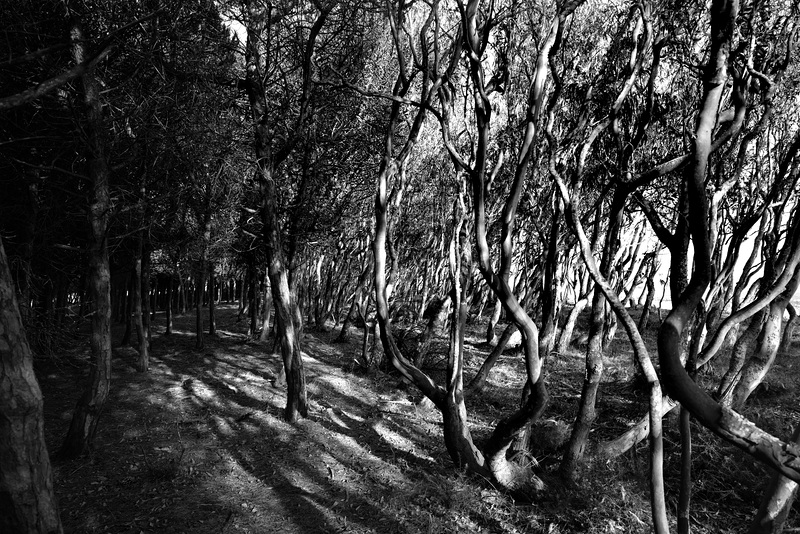 Lagoa do Garcia, Vila do Bispo, BW