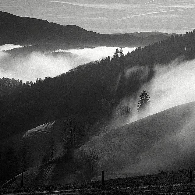 Schwarzwald