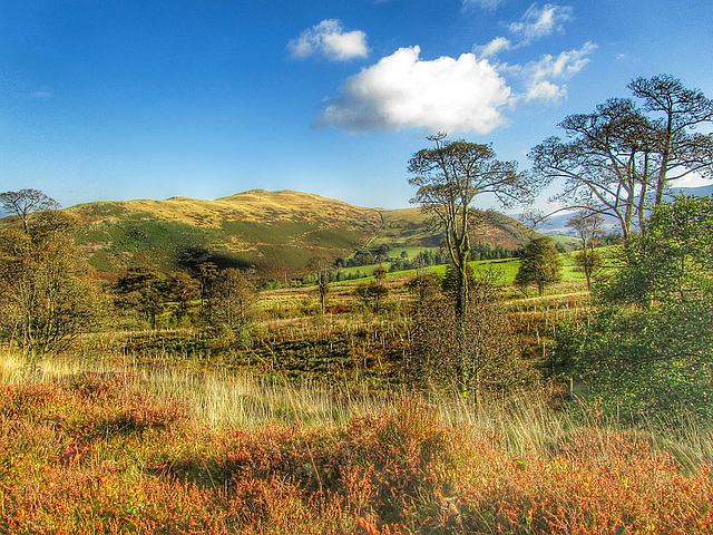 Autumn Sale Fell viewed across Wythop Valley, Lake District