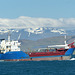 Sóley crossing Reykjavik Harbour (3) - 19 June 2017