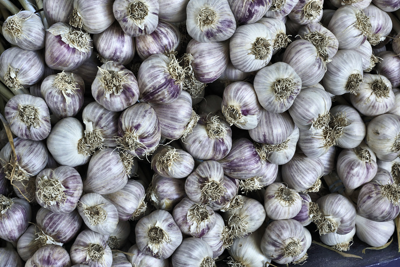 Garlic Bulbs – Marché Jean-Talon, Montréal, Québec, Canada