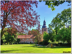Idylle dans le parc de la ville