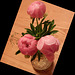 peonies