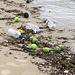 Tennis Balls washed up