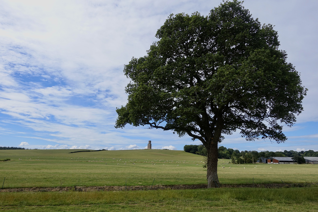 Horton Tower from the village