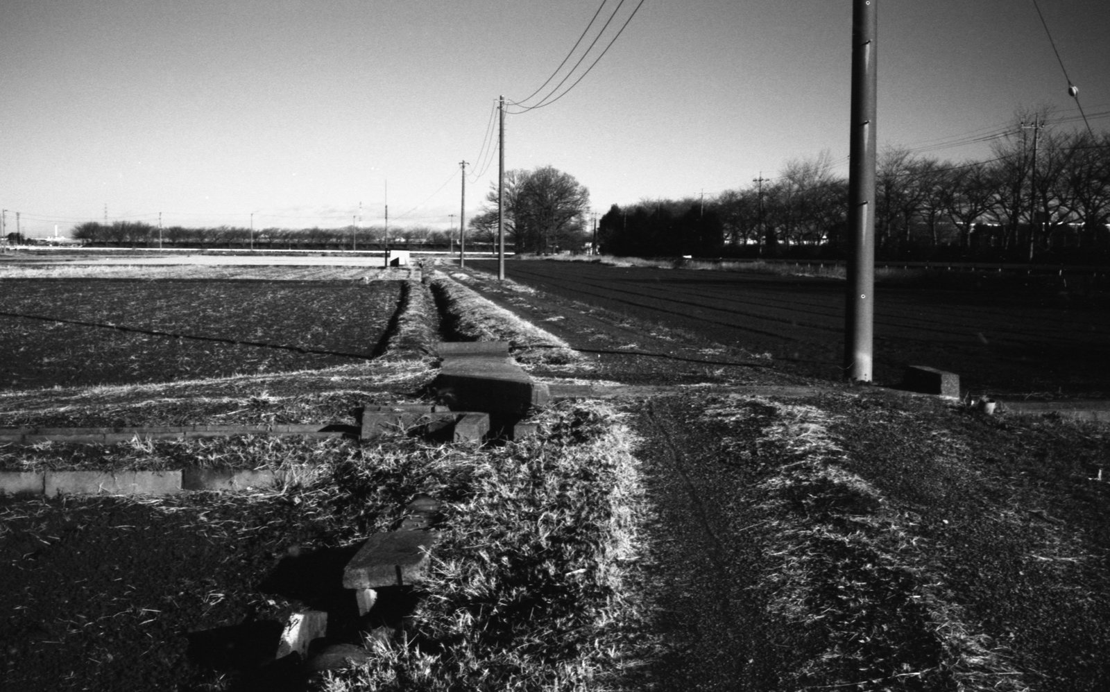 Path through fields