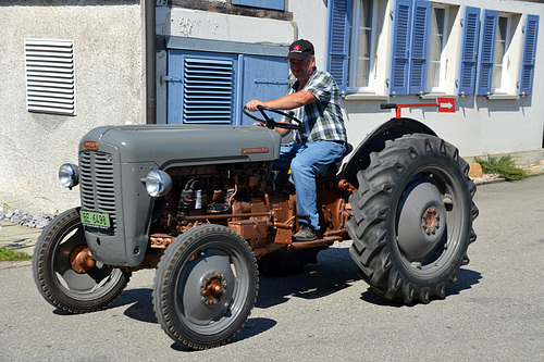 FERGUSON TEF Jg: 1954
