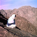 Contemplation... Mount Sinai- Jebel Mousa