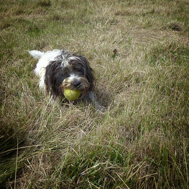 on the ball
