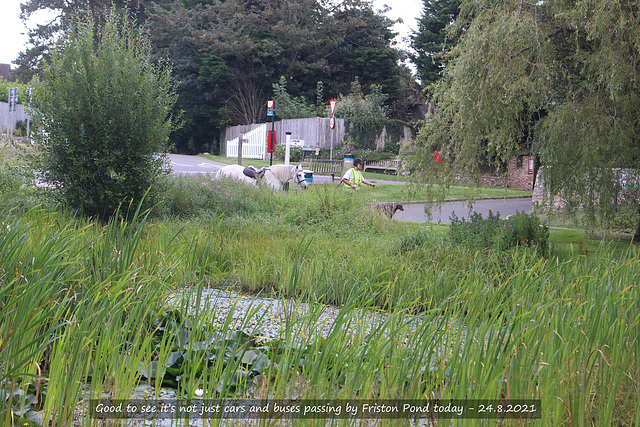 Passers-by Friston Pond 24 8 2021