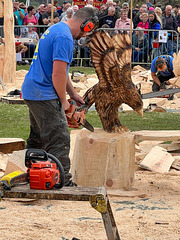 At the Carrbridge Chainsaw Carving Championships 03-09-2022