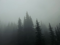 The descent...