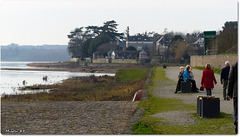 SAINTE GEMMES sur LOIRE