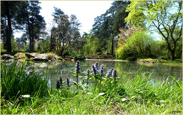 Arborétum des Grandes Bruyères.. .