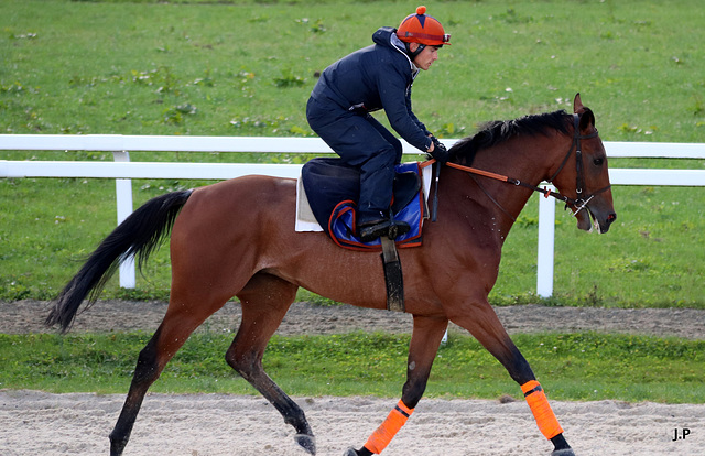 CENTRE EQUESTRE DE DRAGEY