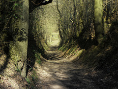 Path of no  return