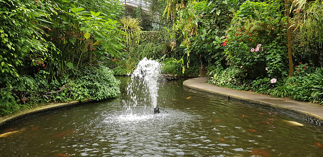 Roath Park Conservatory