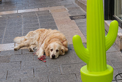 Il fait trop chaud ici !