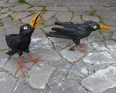 Ornamental Chough x2