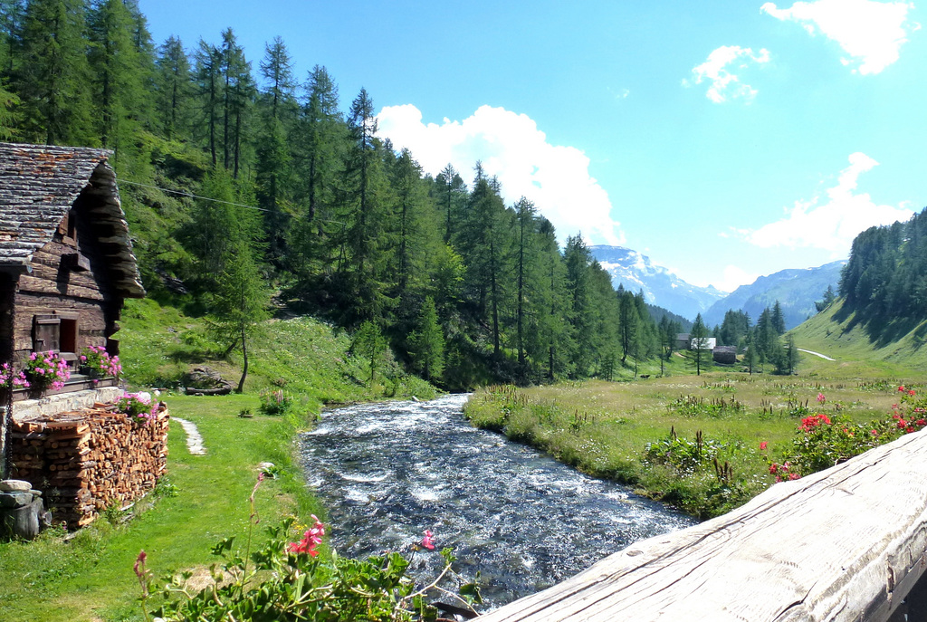 Il torrente Devero a Crampiolo (VB)