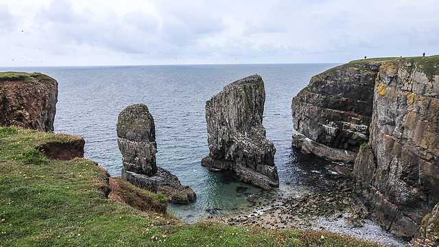 20190614 5289CPw [R~GB] Castlemartin Range, Wales