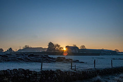 Landscape images from a walk this morning