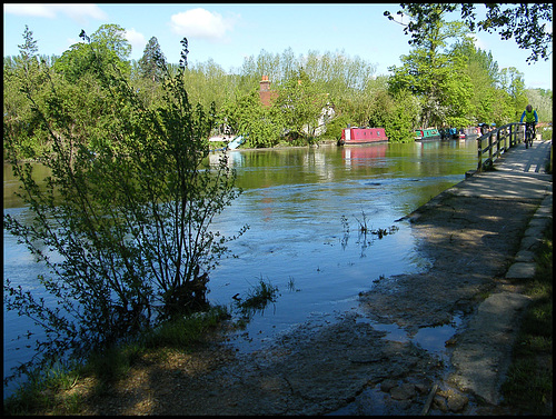 high tide at Medley