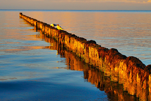 Goldene Stunde an der Ostsee