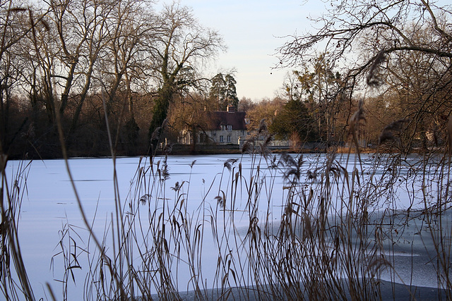 gel sur l' etang ......